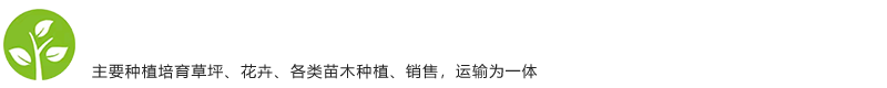 灯塔市富强圆苗圃
