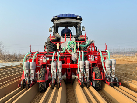 陕西榆林地区胡萝卜高产，竟是用了...