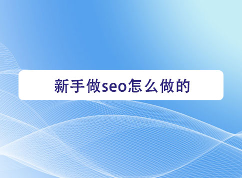 新手做seo怎么做的？