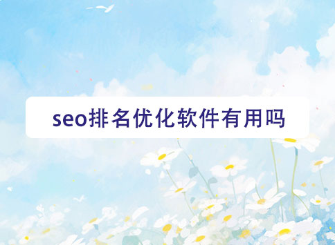 seo排名优化软件有用吗？