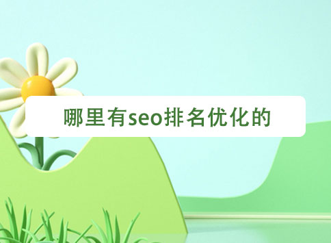 哪里有seo排名优化的?