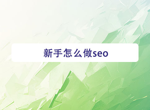 新手怎么做seo？