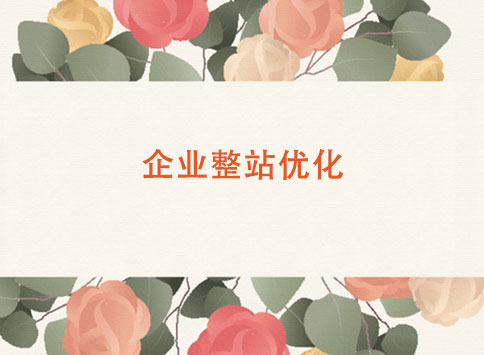 企業(yè)整站優(yōu)化