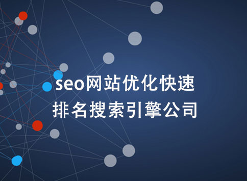 seo网站优化快速排名搜索引擎公司