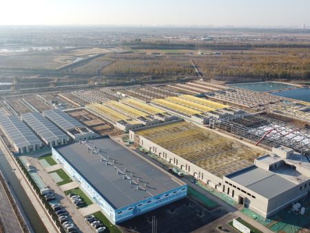 09千乘文旅项目 建筑面积:80000㎡ 结构形式:门式钢架 用钢量:1560吨 09千乘文旅项目 建筑面积:80000㎡ 结构形式:门式钢架 用钢量:1560吨