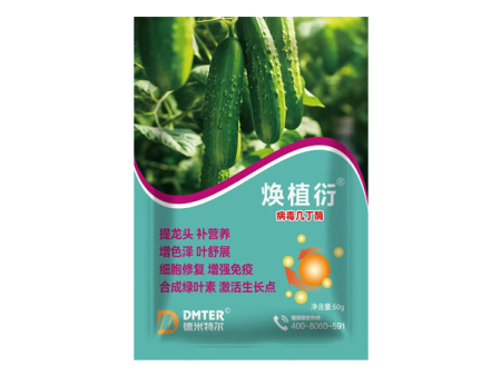 病毒几丁酶