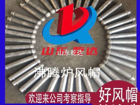 沸騰爐風(fēng)帽2