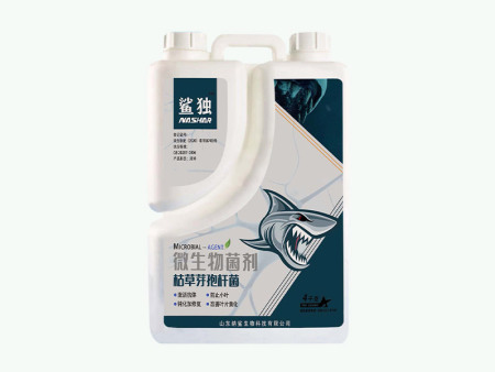 鲨独（病毒病）