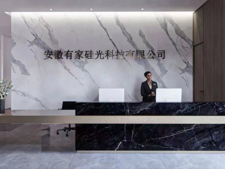 安徽有家硅光科技有限公司项⽬