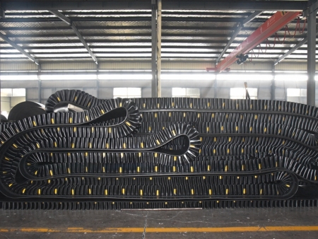Sidewall conveyor belt