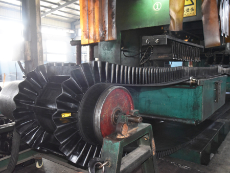 Sidewall conveyor belt