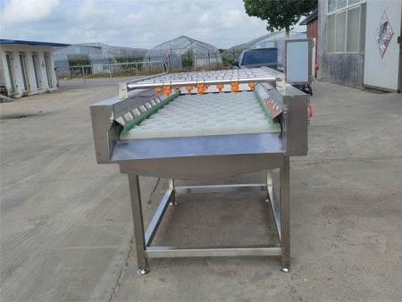 平行毛辊清洗机