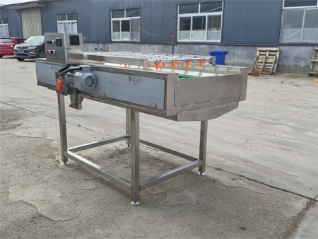 平行毛辊清洗机