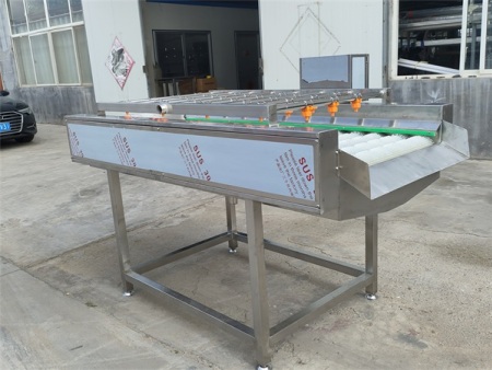 平行毛辊清洗机