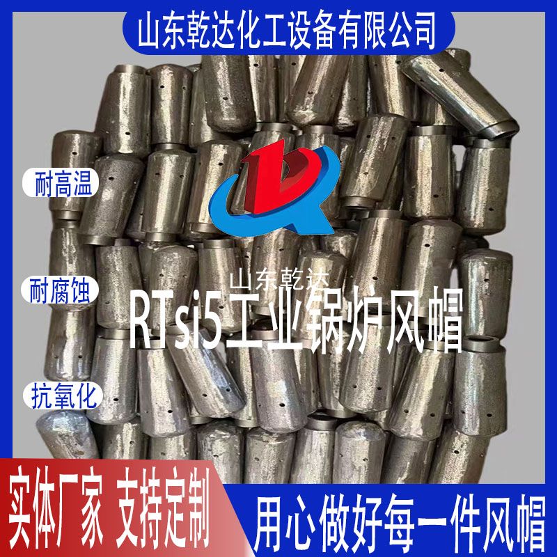 RTsi5工業鍋爐風帽