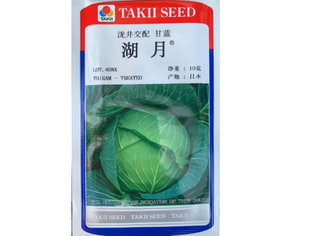 湖月