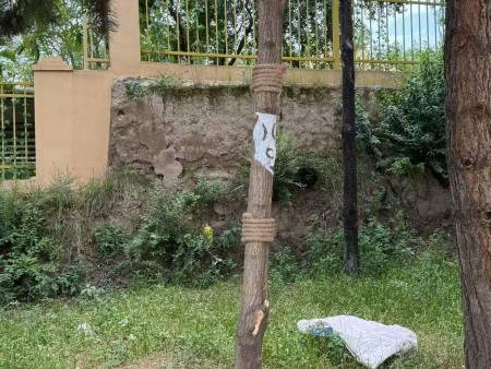 微信图片_20250312145008