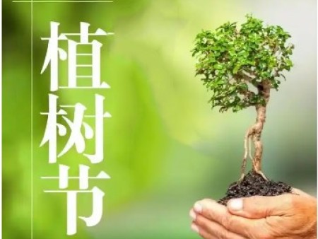 Ruitai Adds Green, Moving Towards a Sustainable Future