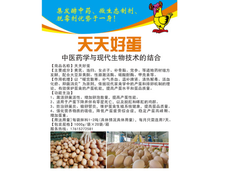 天天好蛋