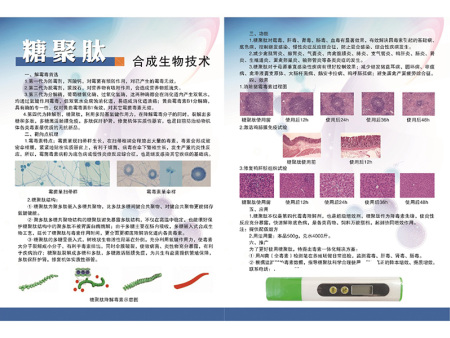 糖聚肽