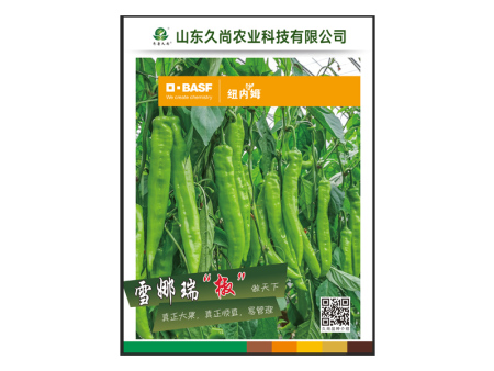 秋延、越冬，早春品种 雪娜瑞