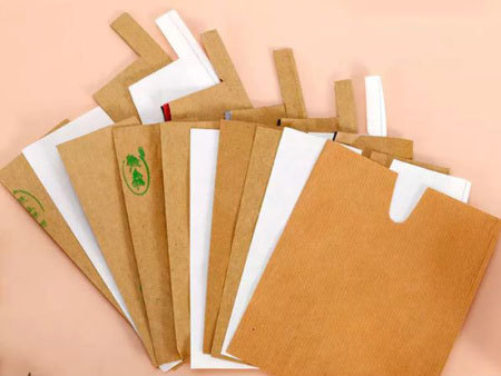 Fruit Paper Bag