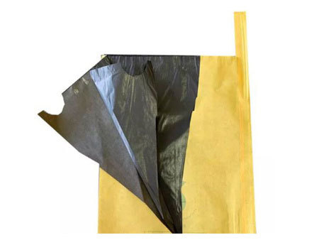 Fruit Paper Bag
