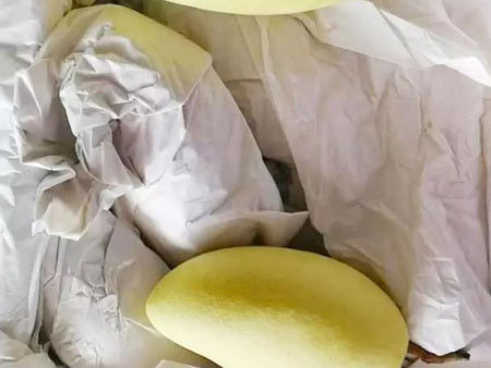 Fruit Paper Bag