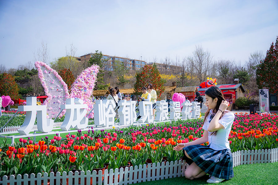 郁金香花海
