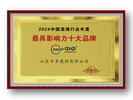 最具影响力十大品牌