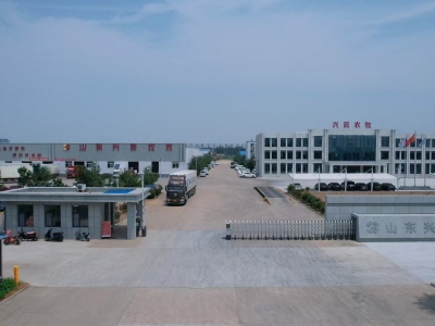 白条鸭_分割鸭_白条鸭厂家-山东兴辰农牧有限公司