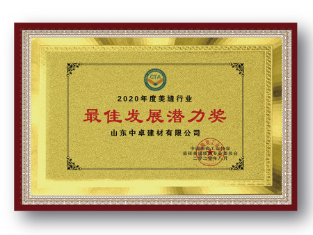 最佳发展潜力奖