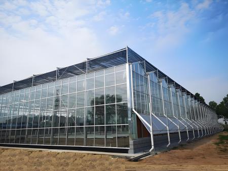 玻璃温室大棚建设前要做什么?