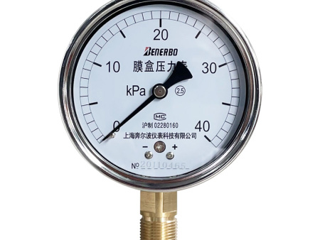 YE-100膜盒压力表（上仪）