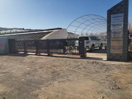 微信图片_20250411105307 微信图片_20250411105307