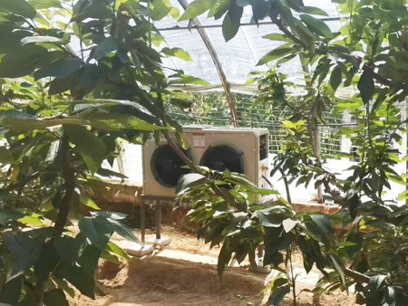 樱桃大棚蓄冷采暖