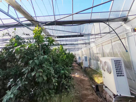 柑橘温室采暖