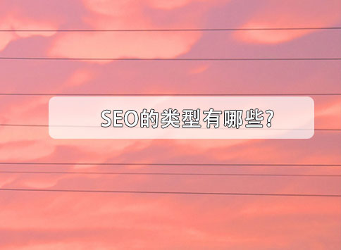 SEO的类型有哪些?