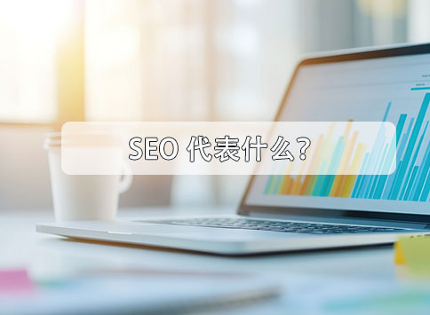 SEO代表什么？