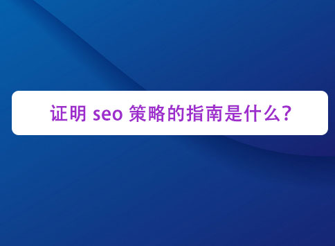 证明 seo 策略的指南是什么？