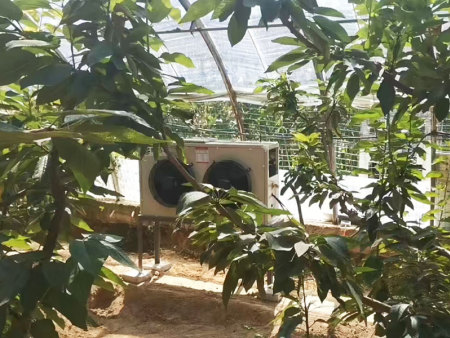 樱桃大棚蓄冷采暖