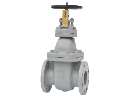 JIS F 7366 Cast steel 10K gate valves