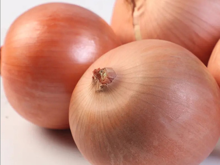洋葱