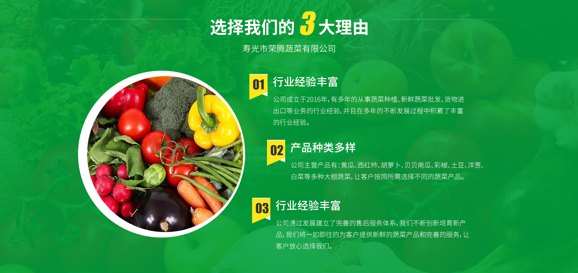 寿光市荣腾蔬菜有限公司