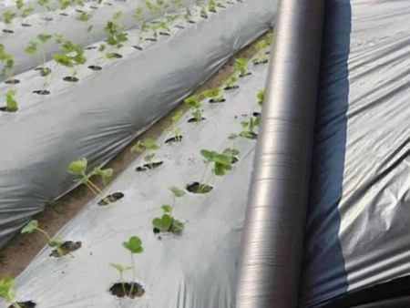 Mulching Film
