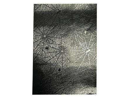 Spider Paper