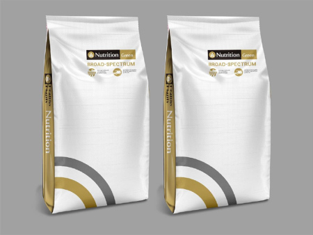Color printed non-woven woven bag