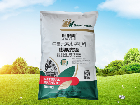 膨果先锋