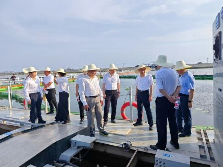 湖北省政协副主席张柏青率队调研洪湖底泥洗脱生态修复试验项目