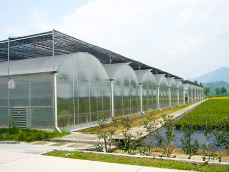 阳光板温室